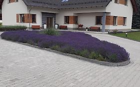 Agroturystyka Aura